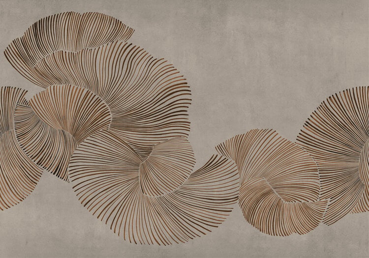Contour Bloom